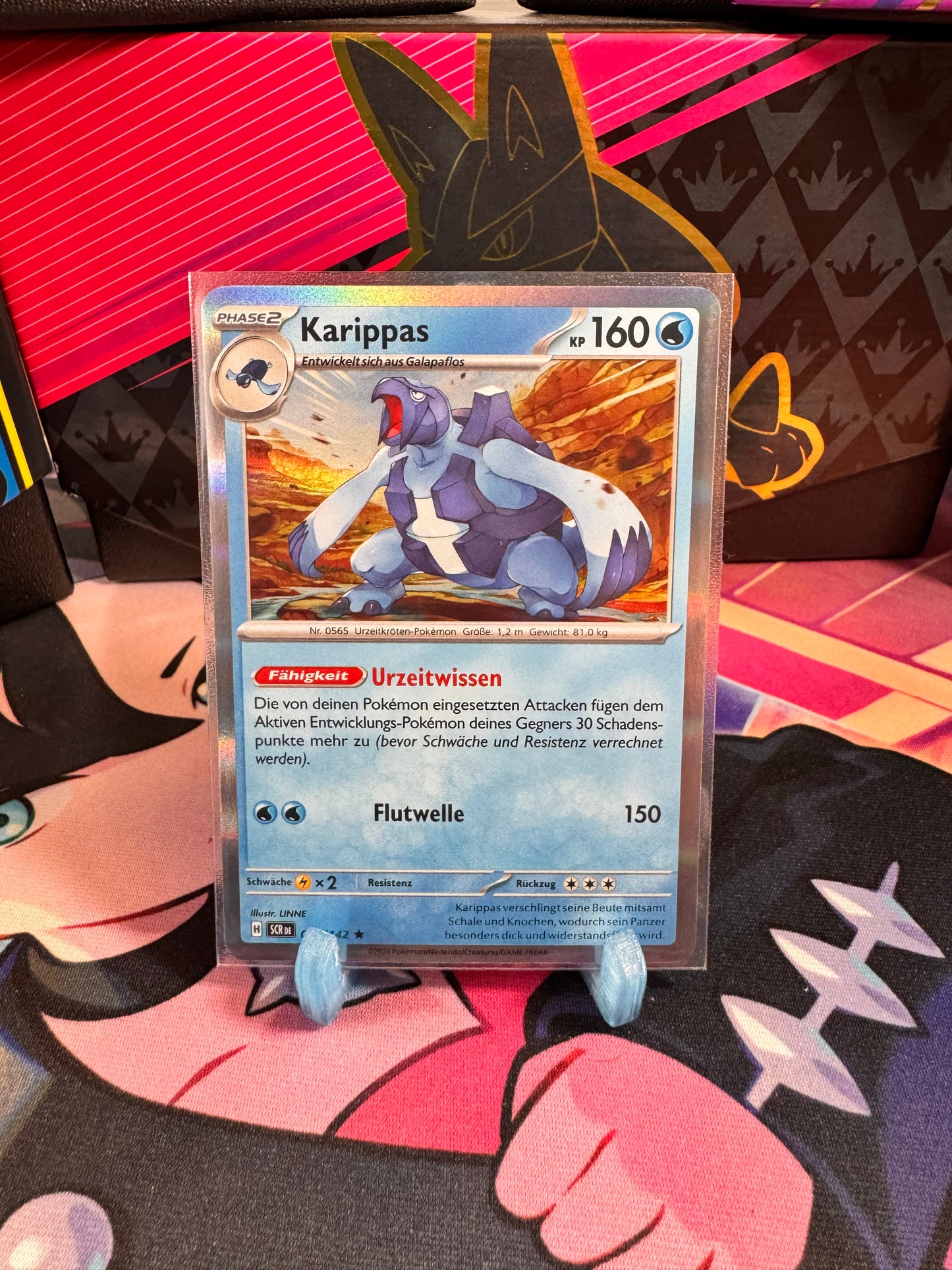 038/142 Karippas Holo