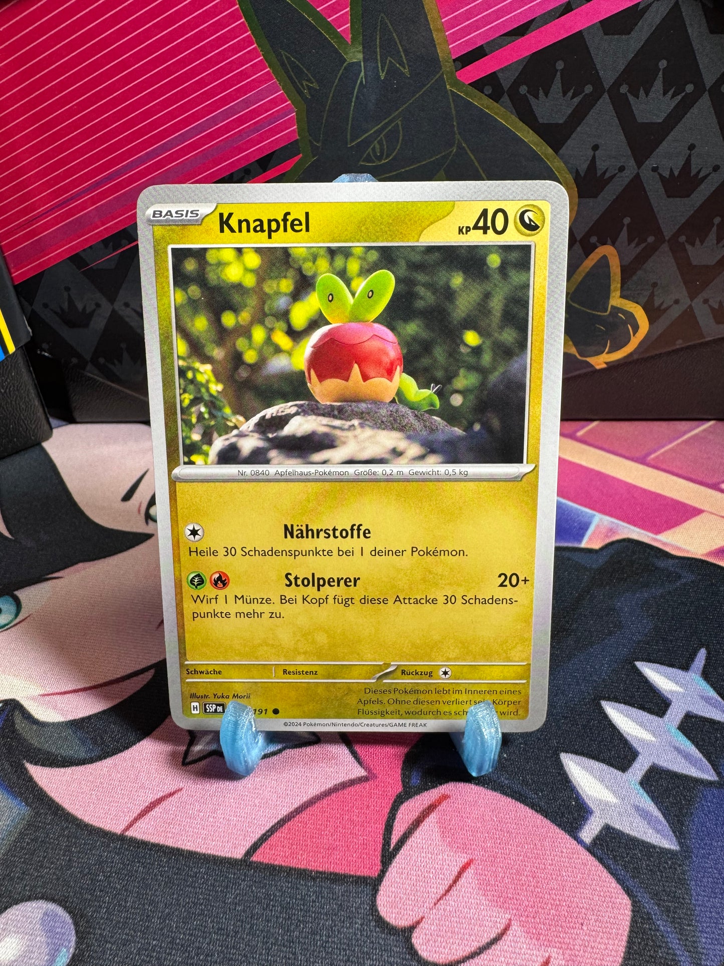 138/191 Knapfel