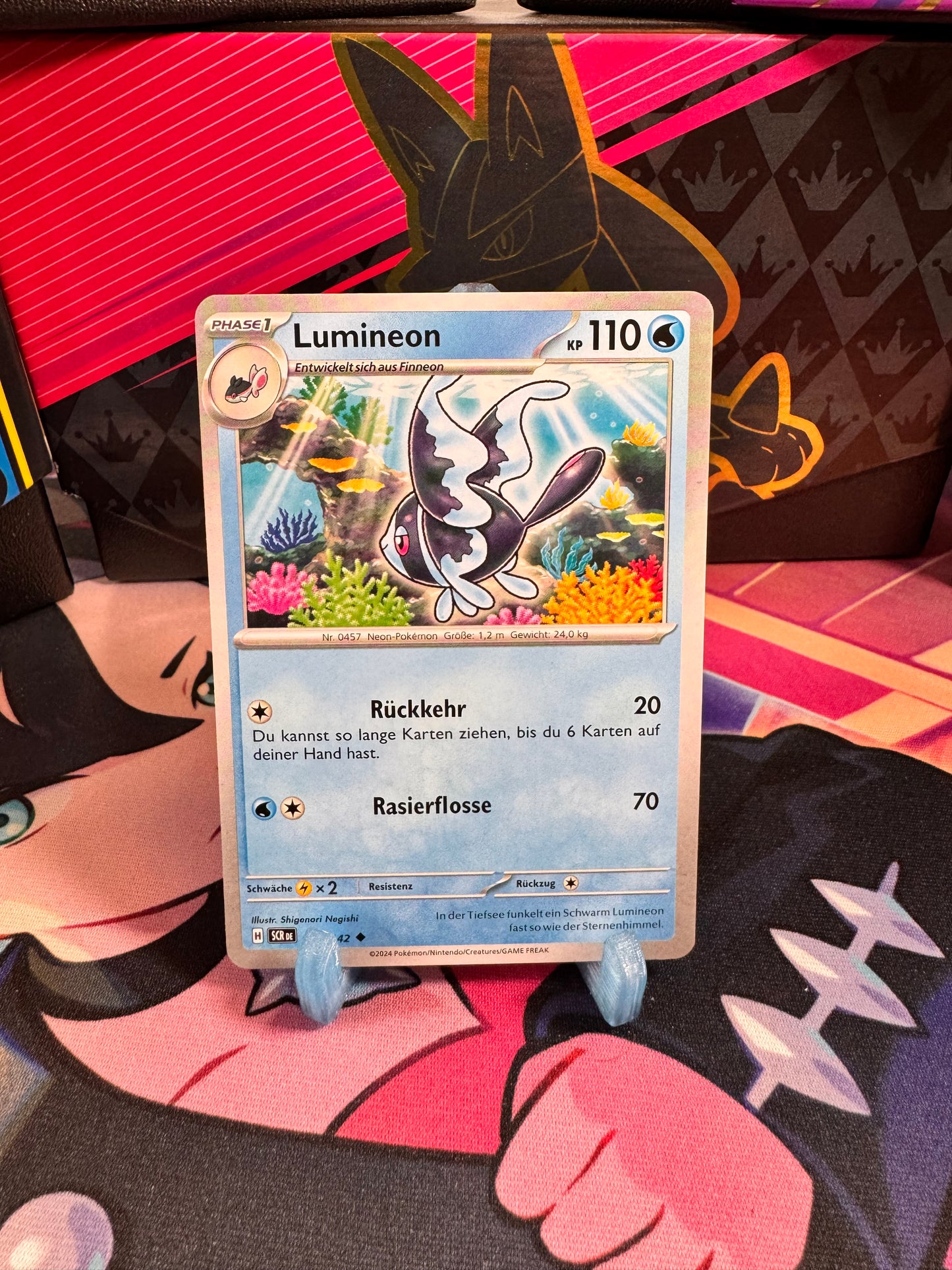 036/142 Lumineon