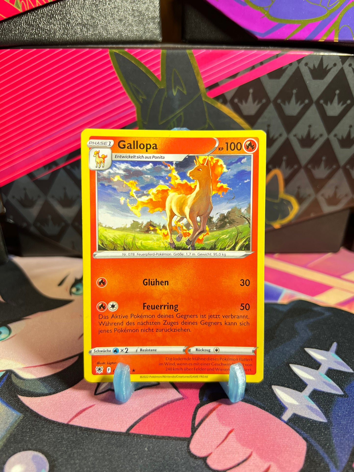 022/189 Gallopa