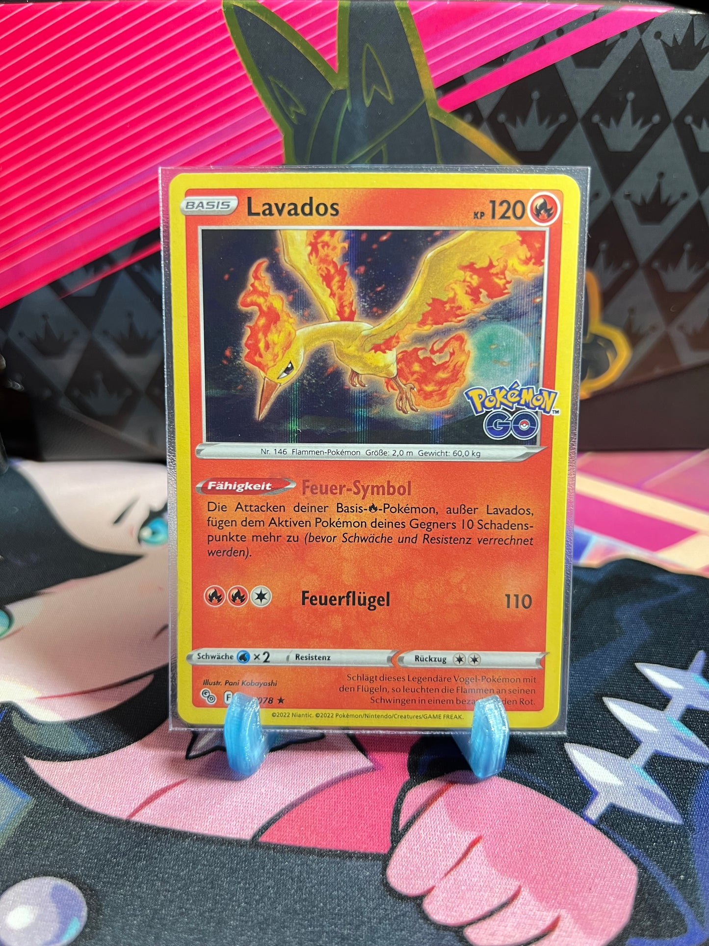 012/078 Lavados Holo