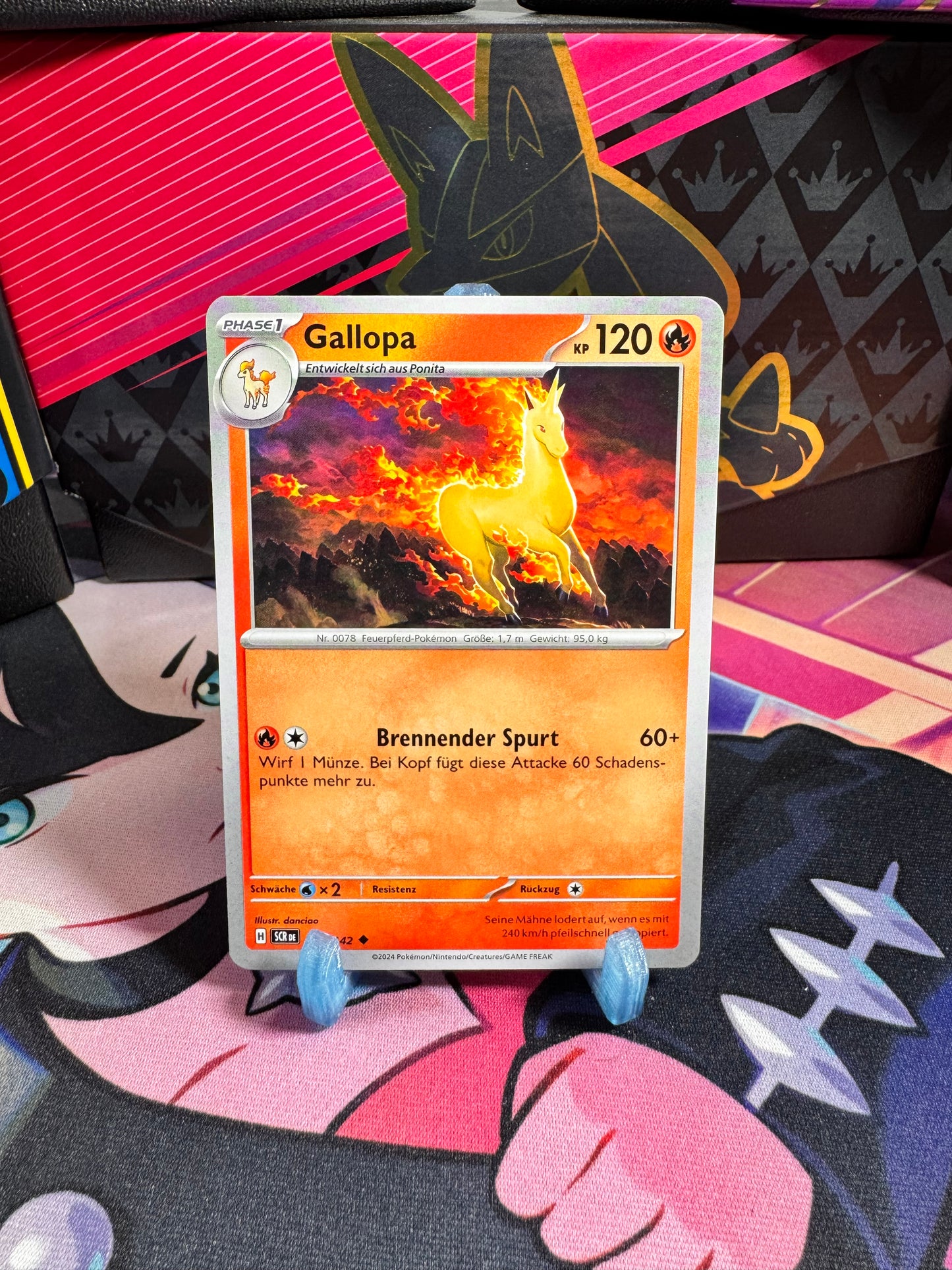 020/142 Gallopa