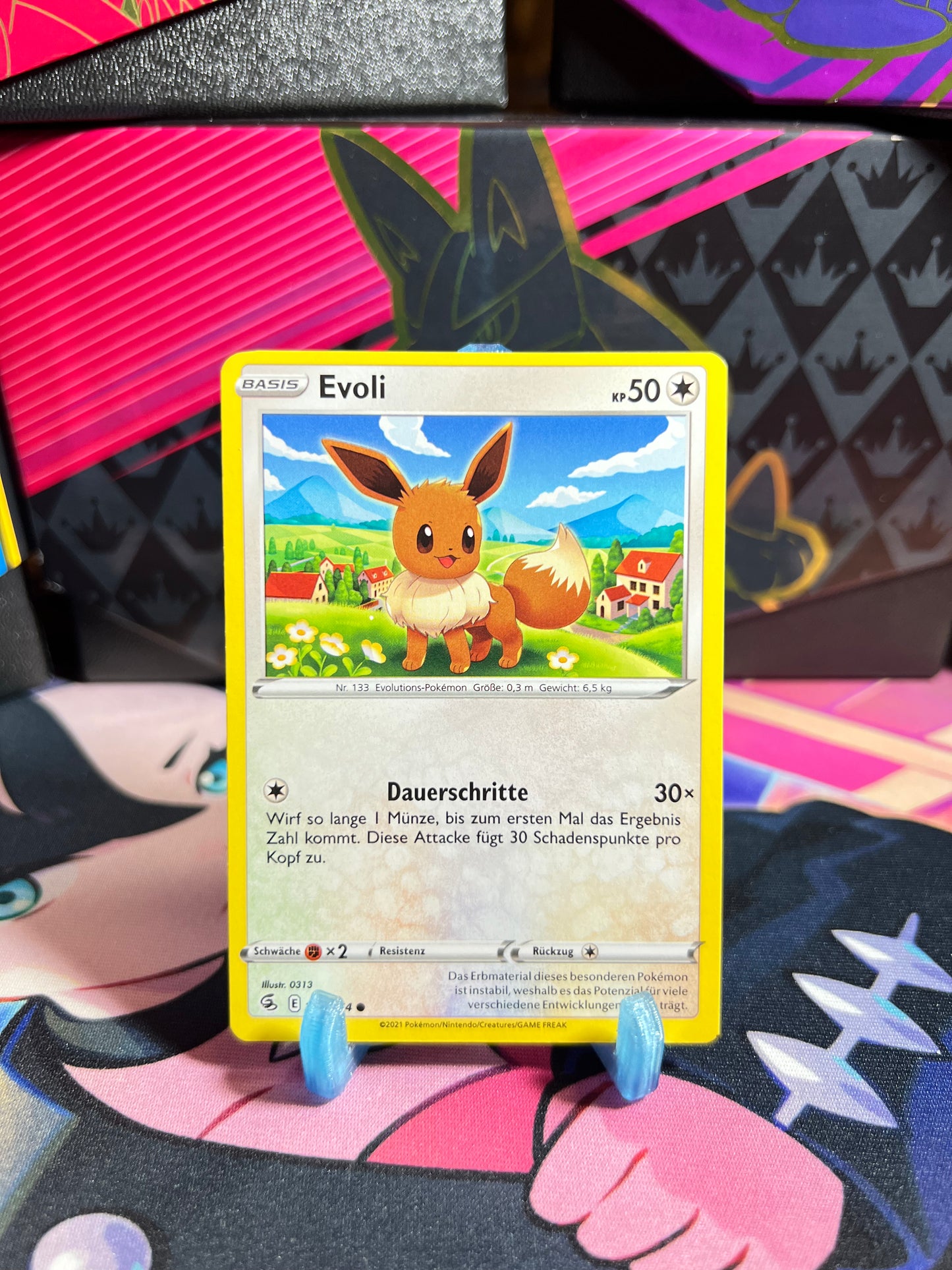 205/264 Evoli
