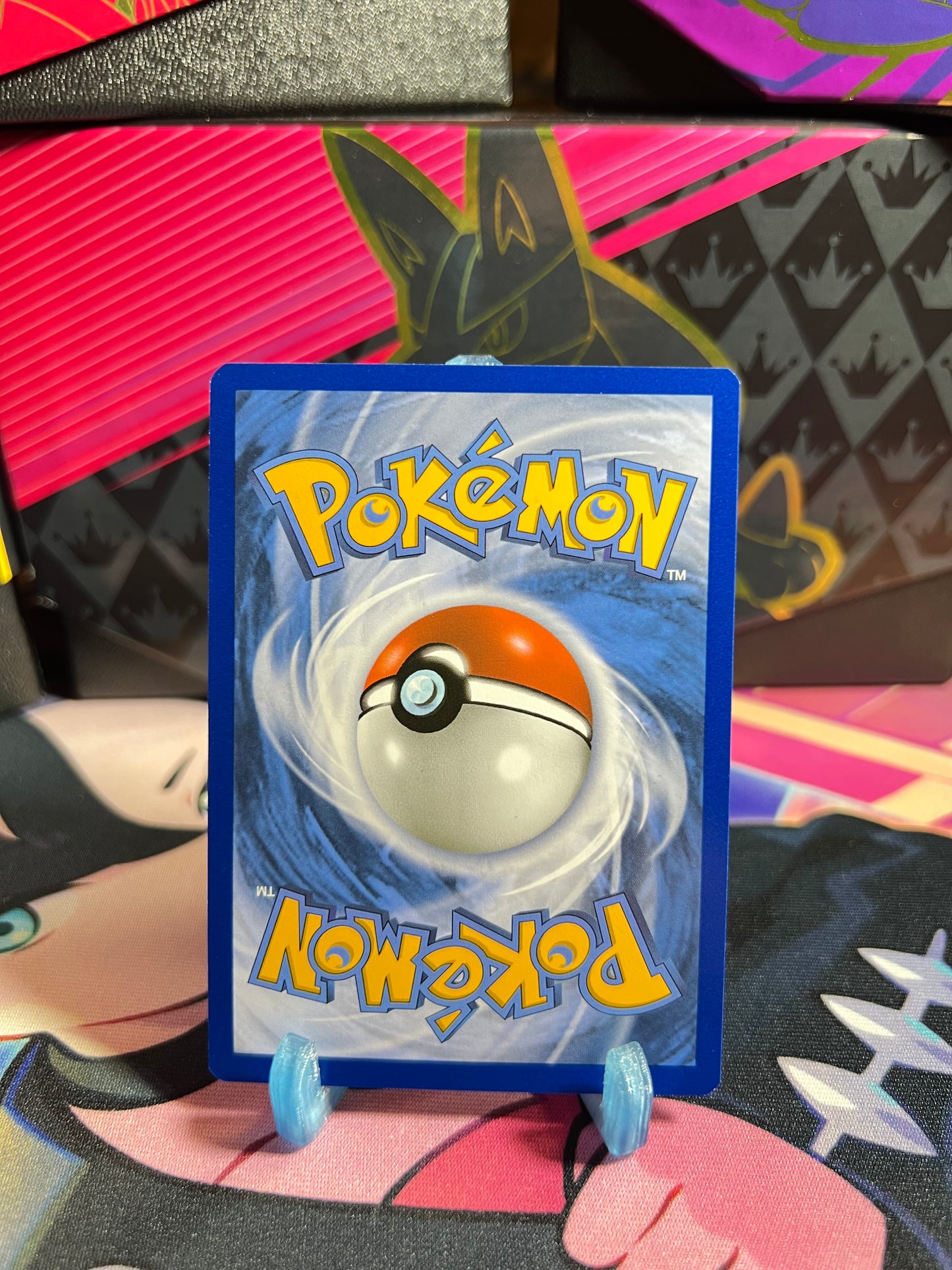 243/264 Schwammhandschuhe