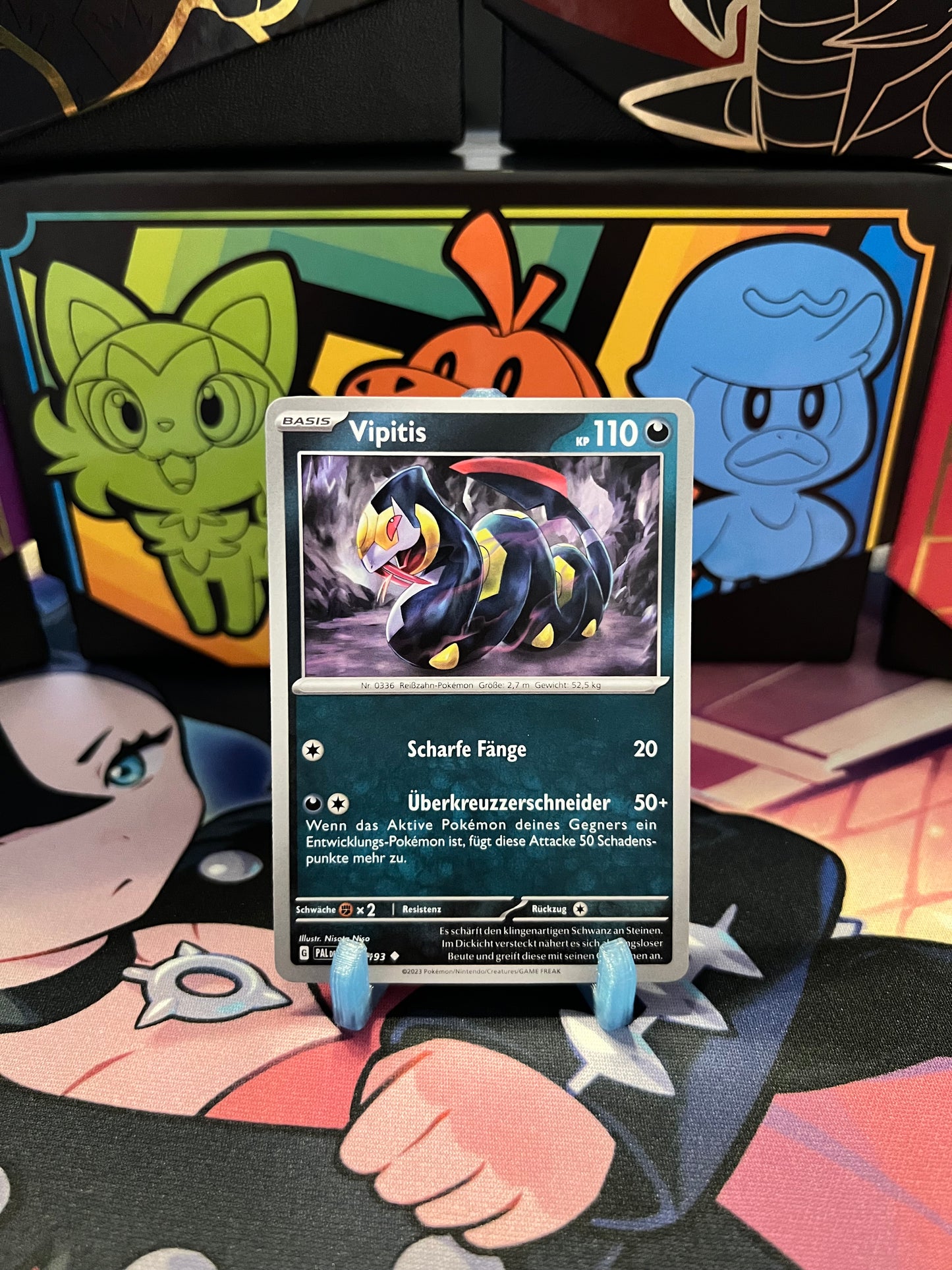 137/193 Vipitis