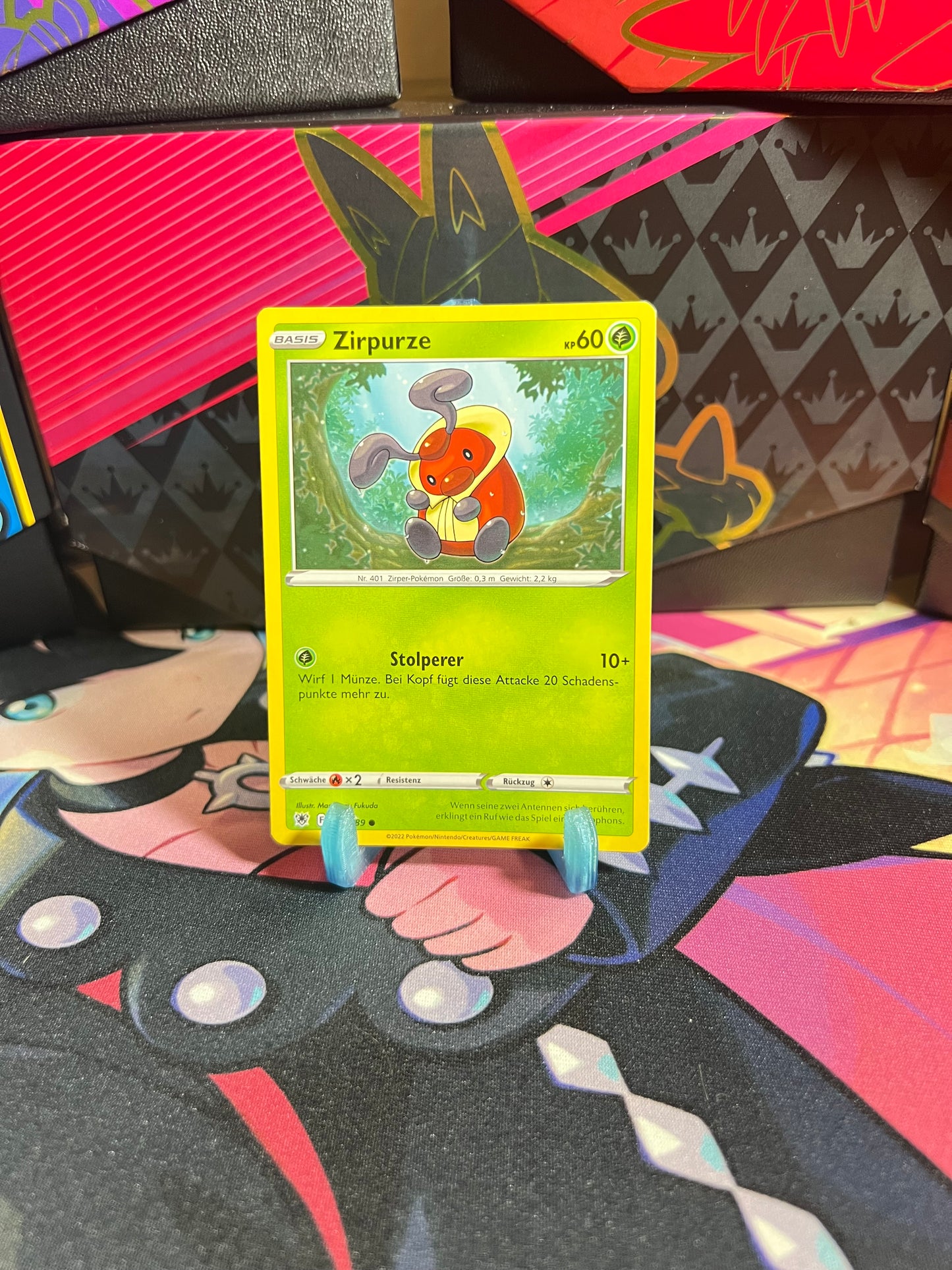 009/189 Zirpurze