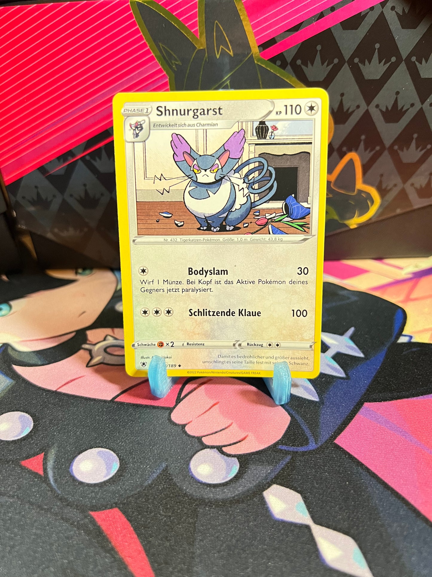 128/189 Shnurgarst