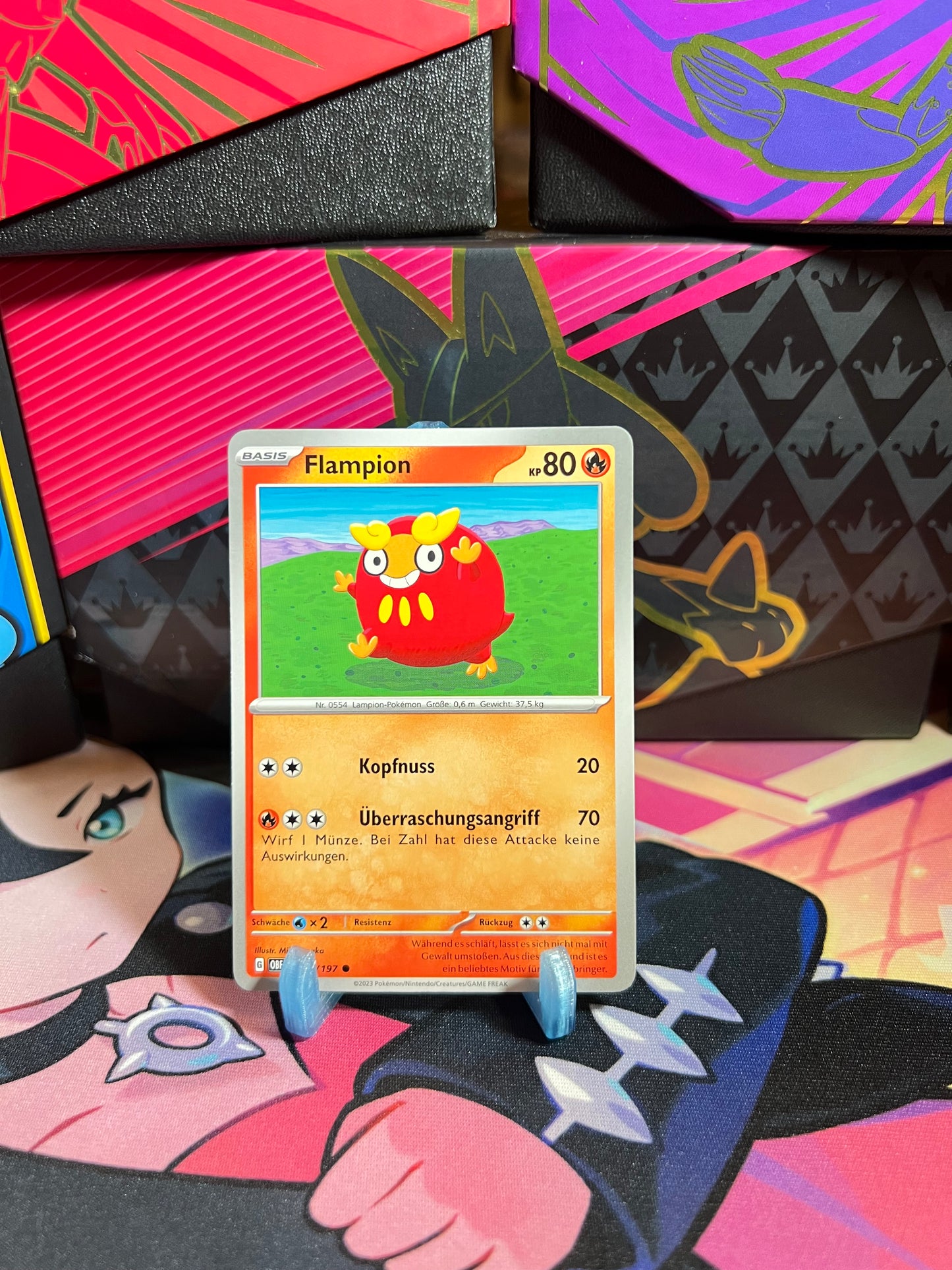 034/197 Flampion