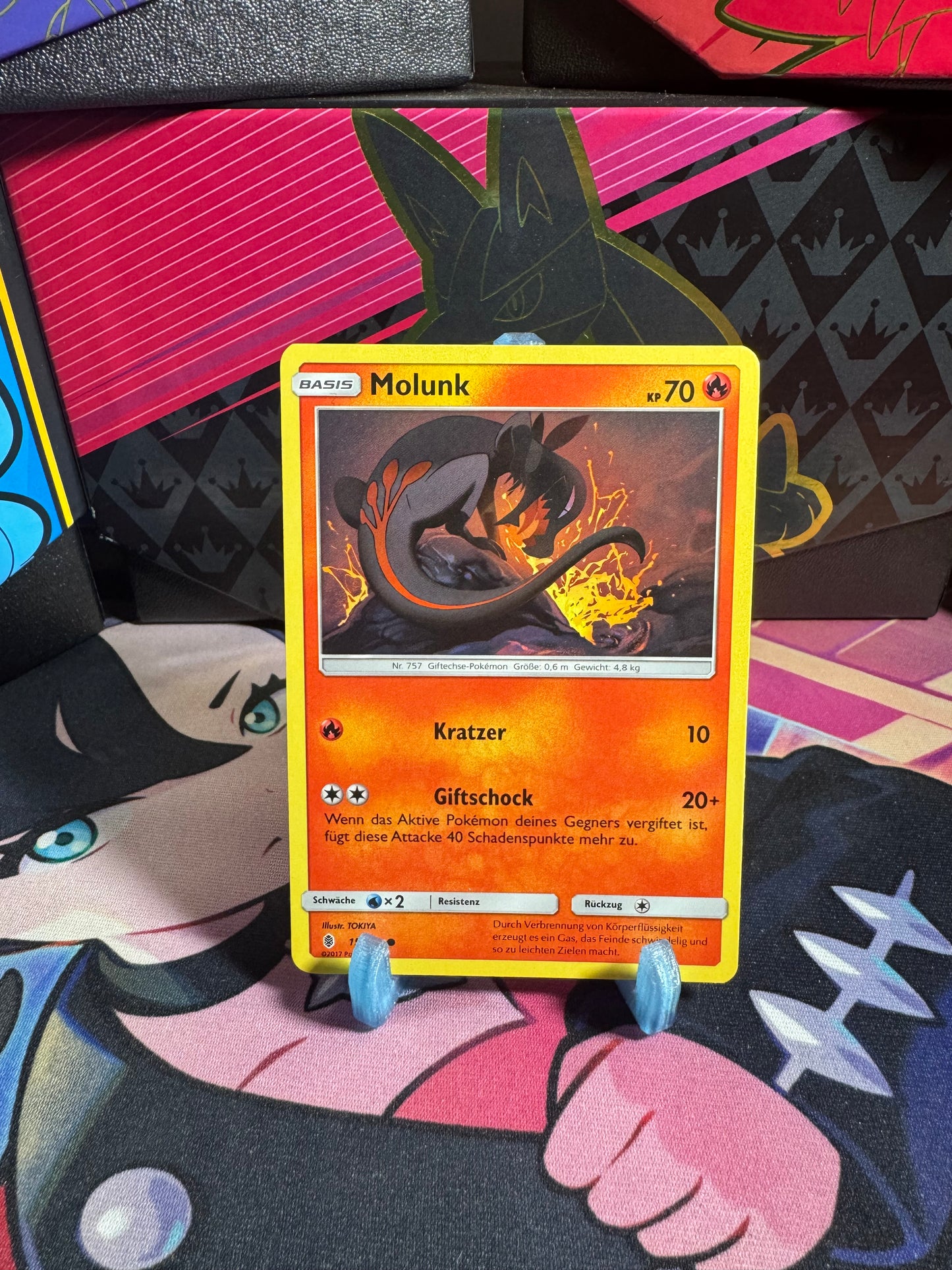 15/145 Molunk