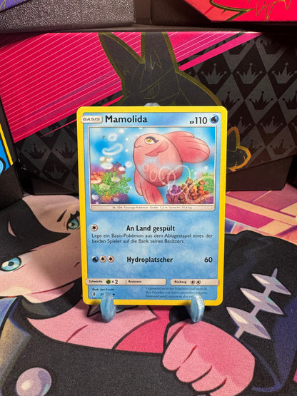 36/145 Mamolida