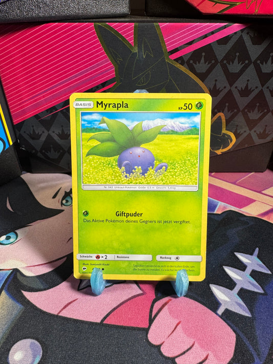4/147 Myrapla