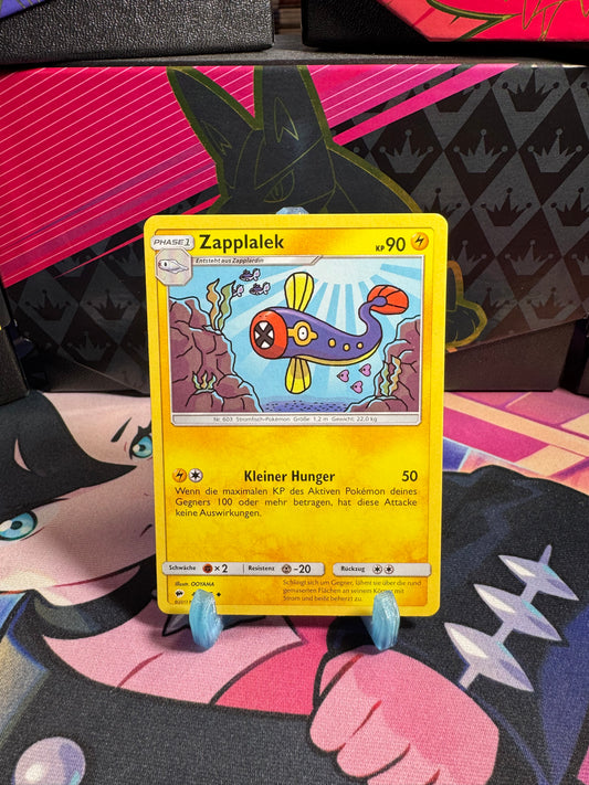 45/147 Zapplalek