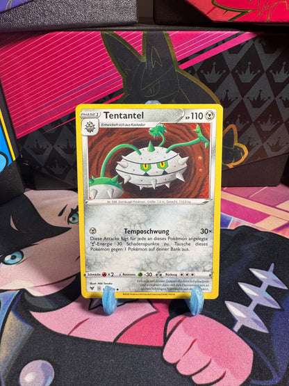 124/185 Tentantel