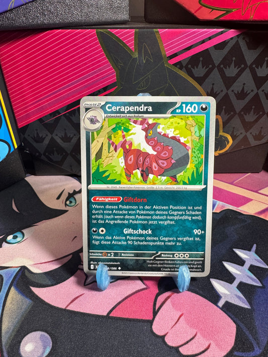 056/086 Cerapendra
