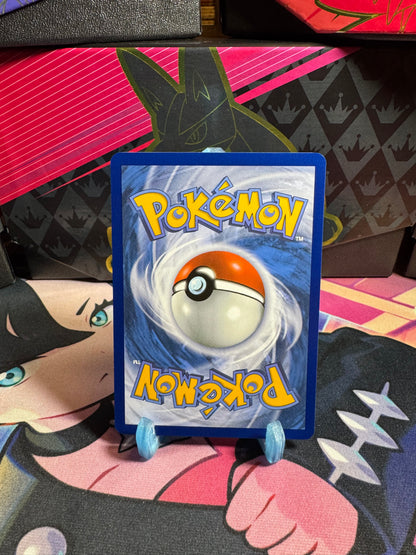 053/182 Cynthias Milotic