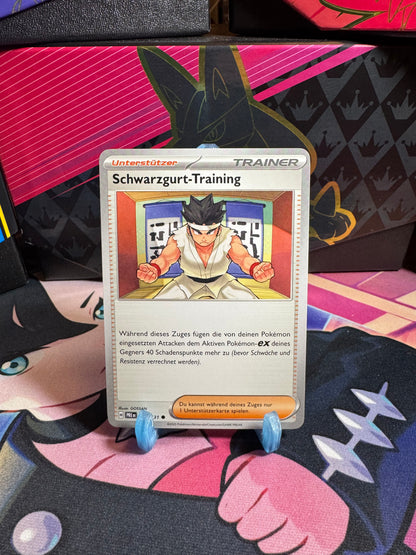 096/131 Schwarzgurt-Training