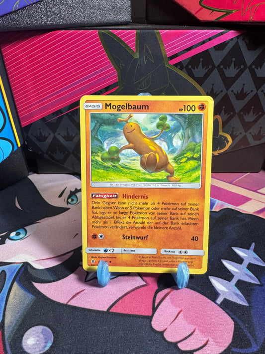 66/145 Mogelbaum
