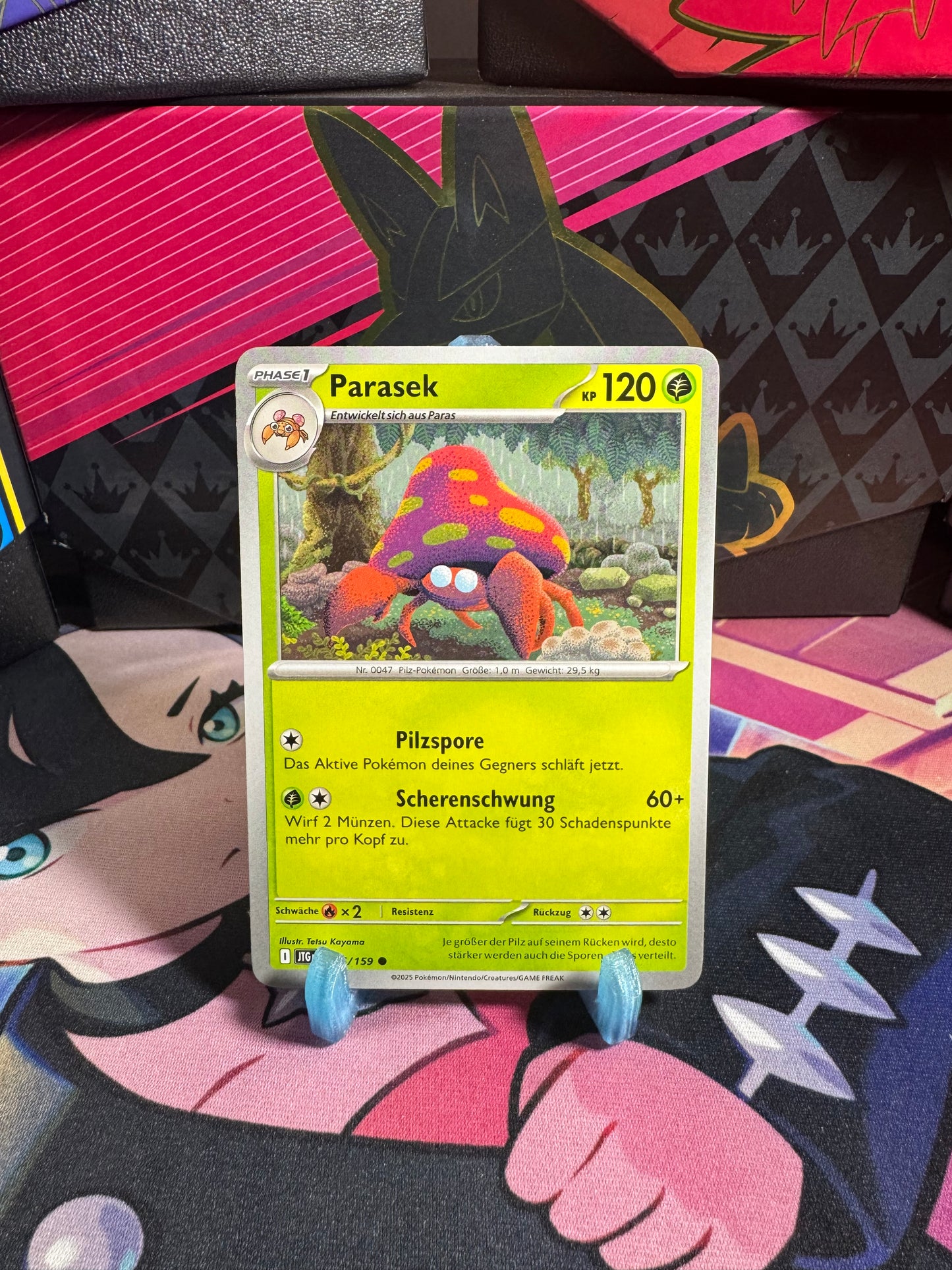 005/159 Parasek
