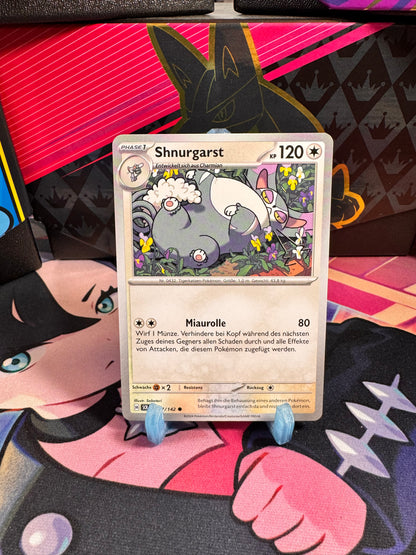117/142 Shnurgarst