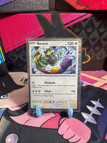 078/086 Boreos Holo