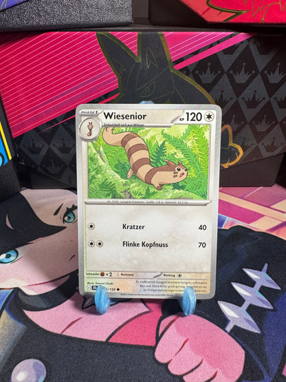 119/159 Wiesenior