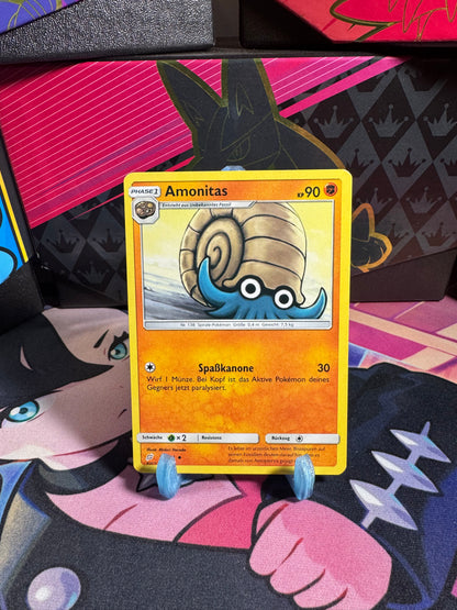 75/181 Amonitas