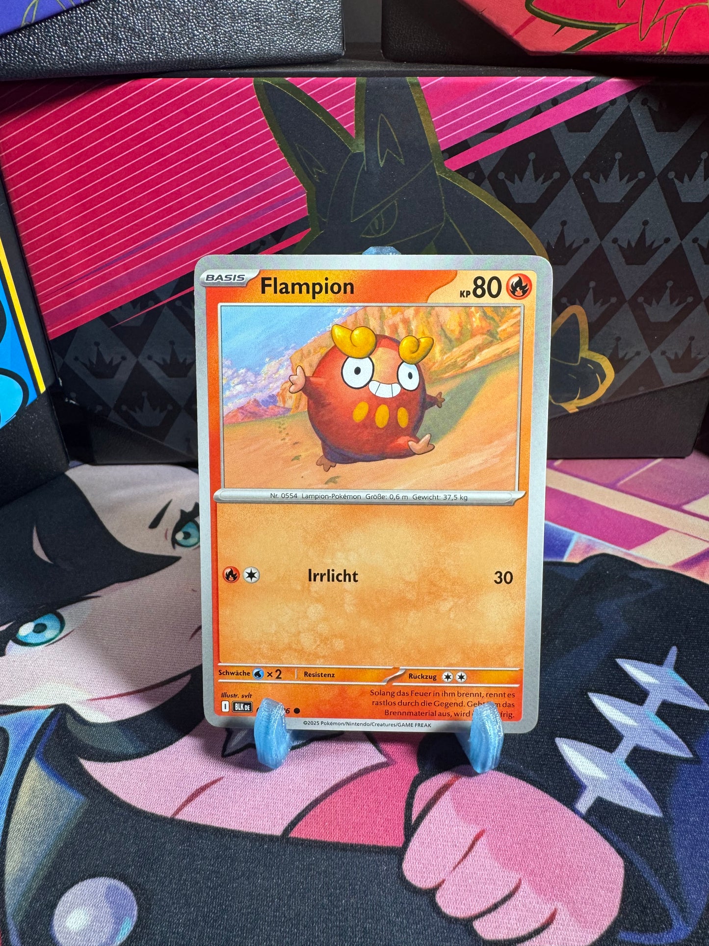 013/086 Flampion