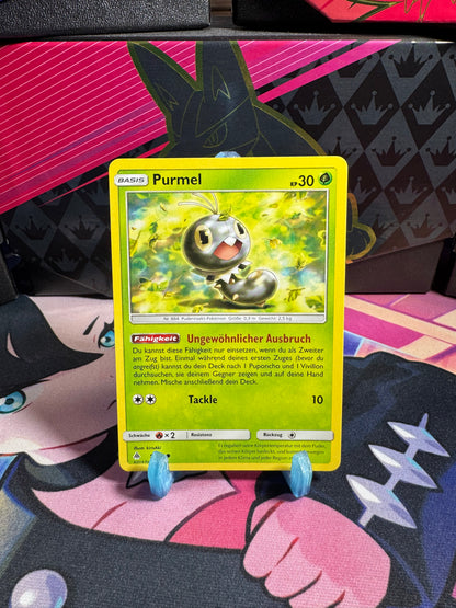 5/131 Purmel