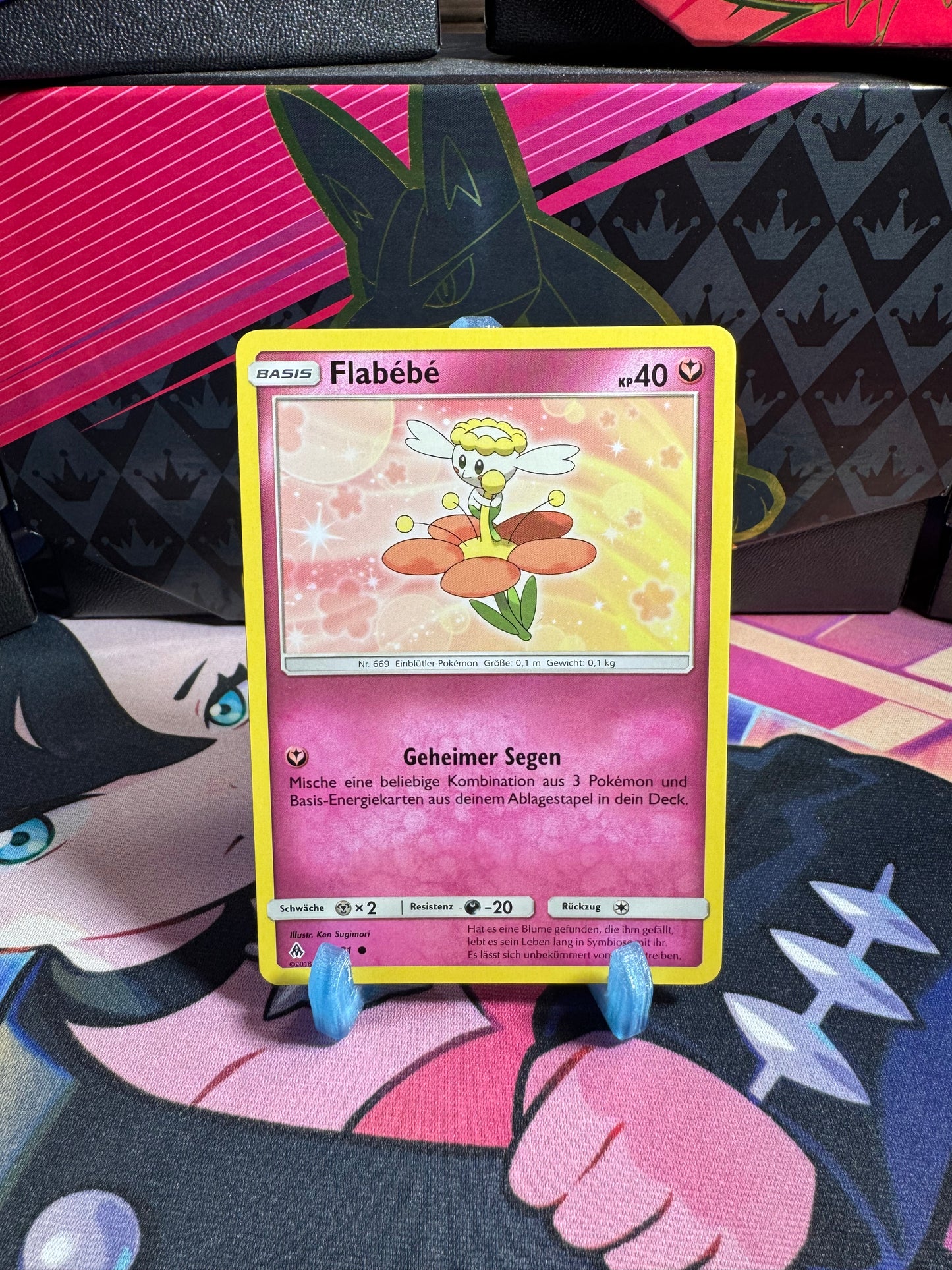 84/131 Flabèbè