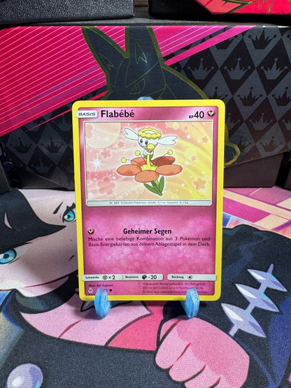 84/131 Flabèbè