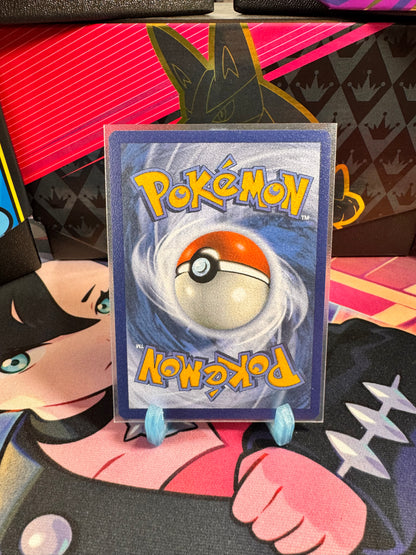 130/142 Antikes Wurzelfossil Reverse Holo