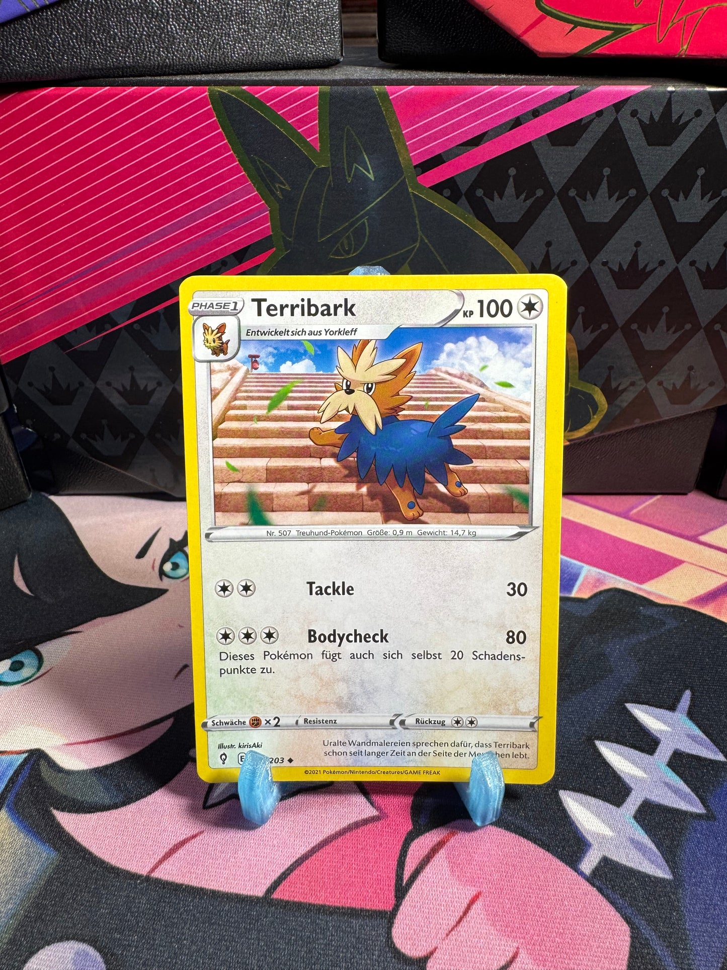 134/203 Terribark