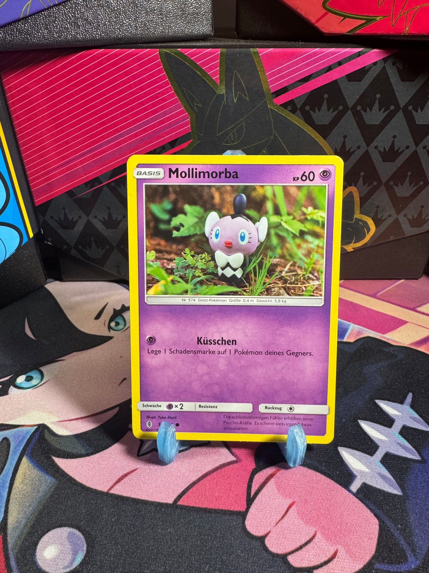 52/145 Mollimorba