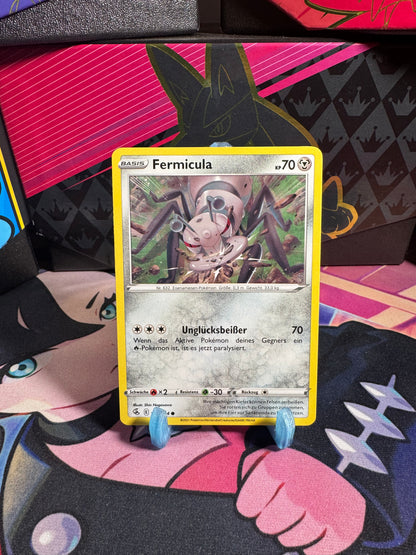 184/264 Fermicula