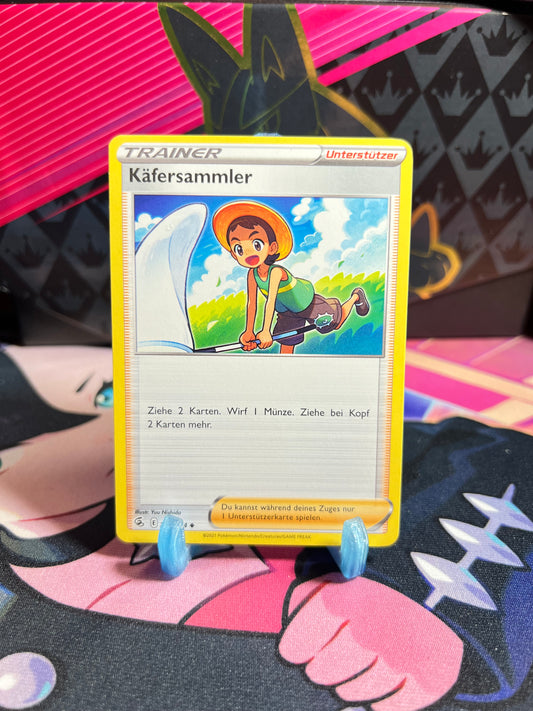 226/264 Käfersammler