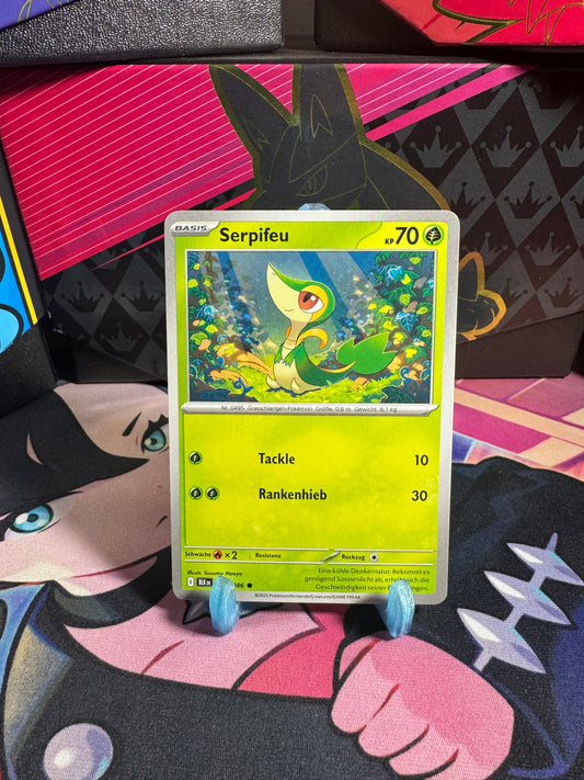 001/086 Serpifeu