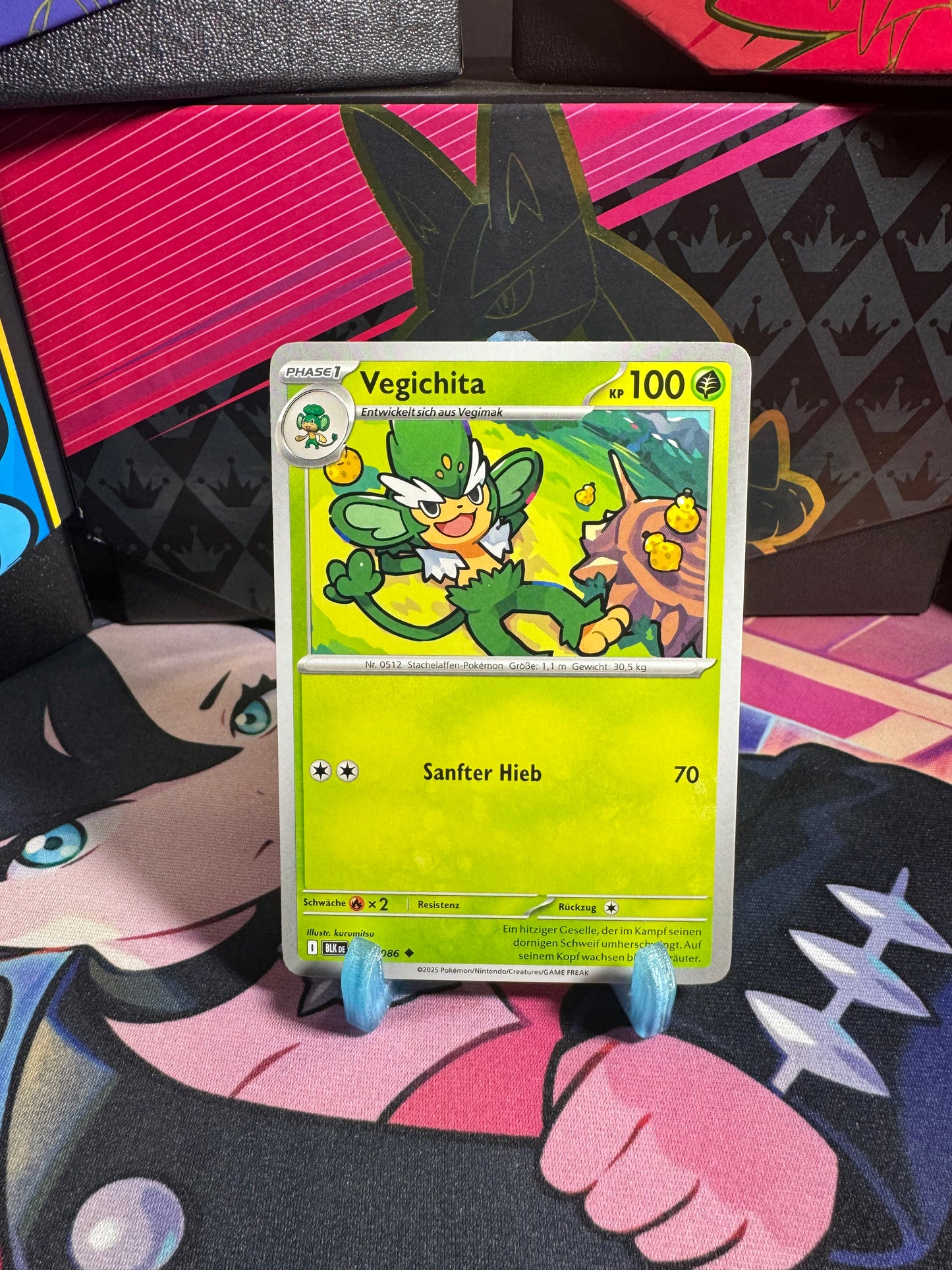 005/086 Vegichita