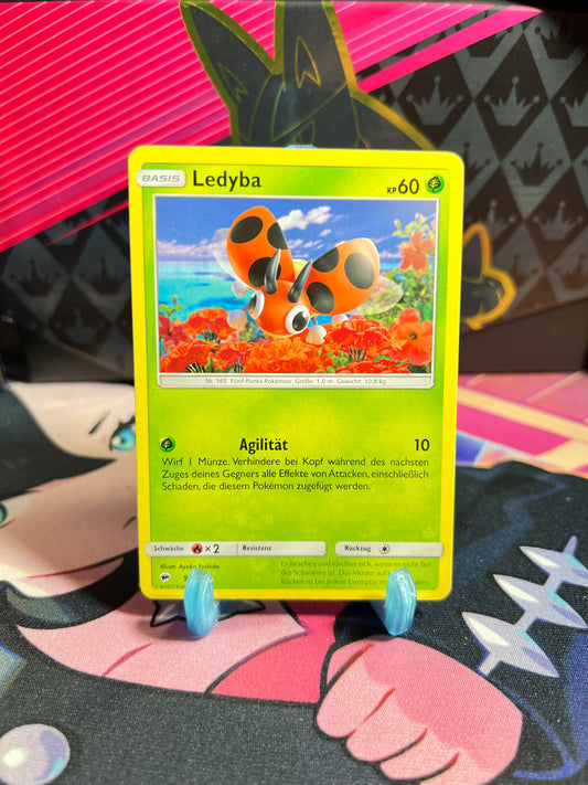 9/147 Ledyba