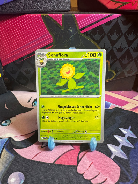 007/167 Sonnflora