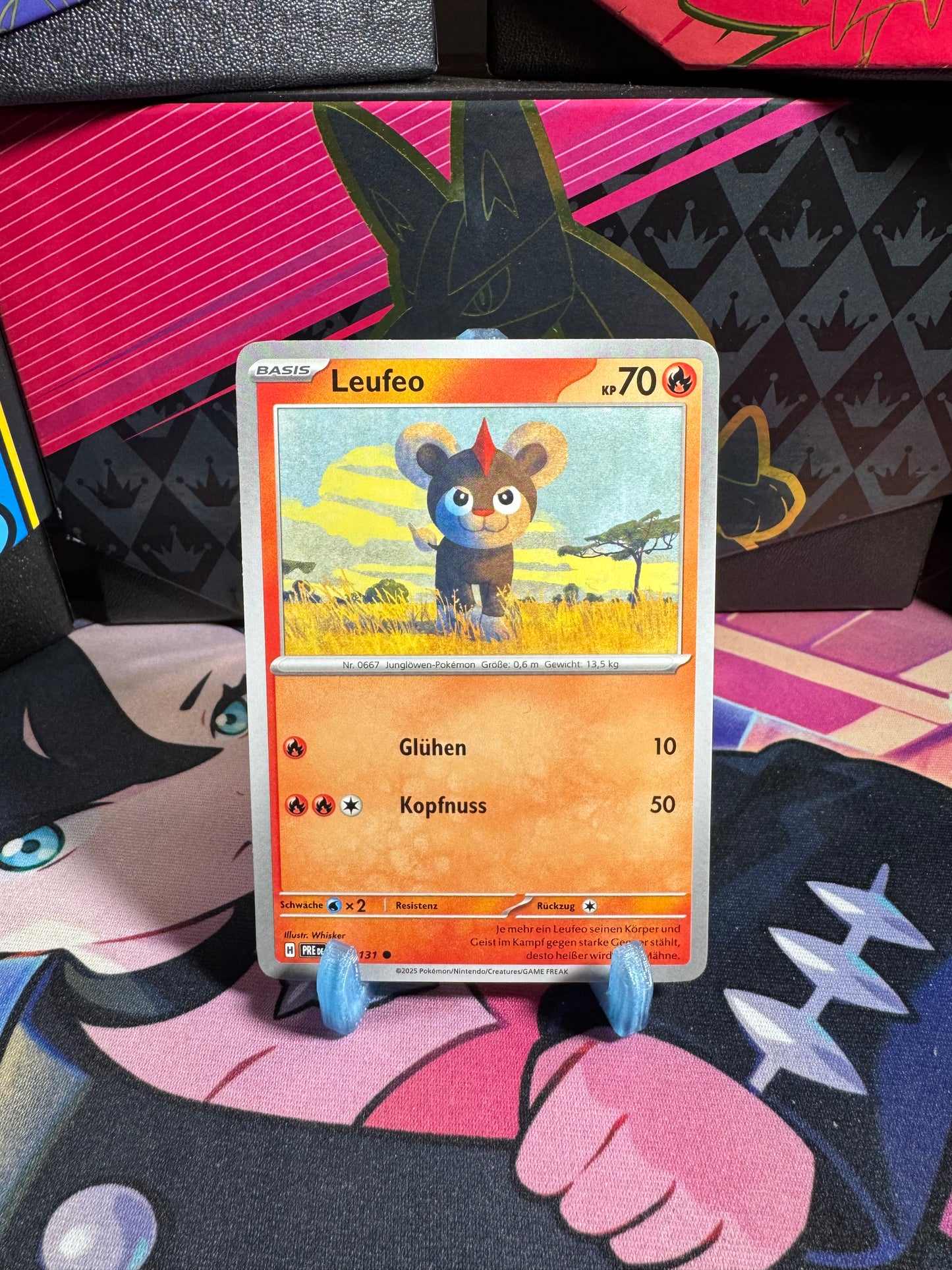 015/131 Leufeo