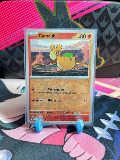 011/091 Camaub Reverse Holo