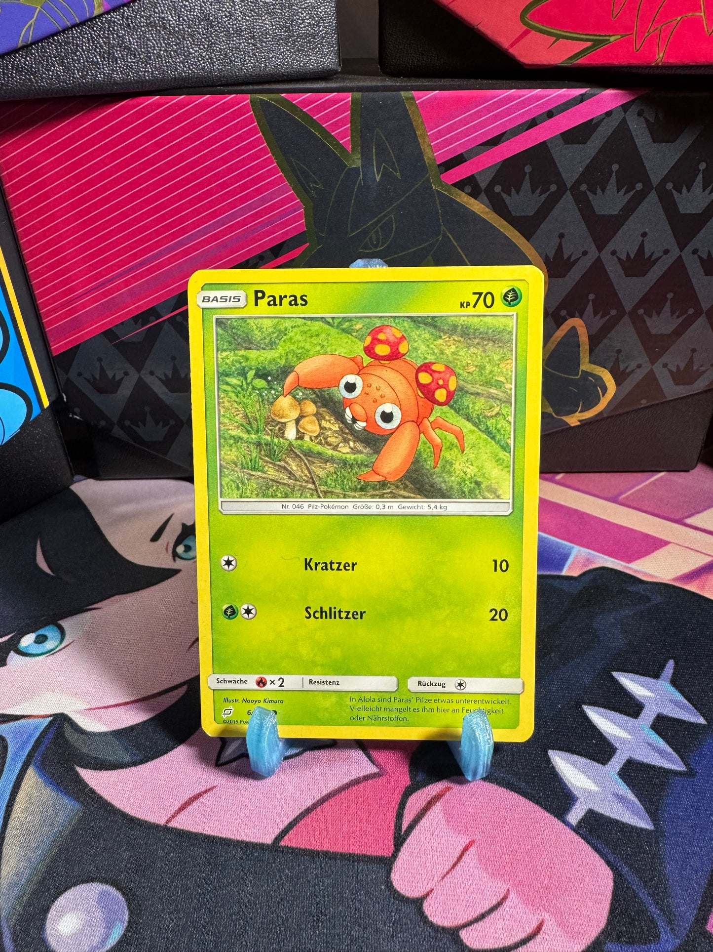 6/181 Paras