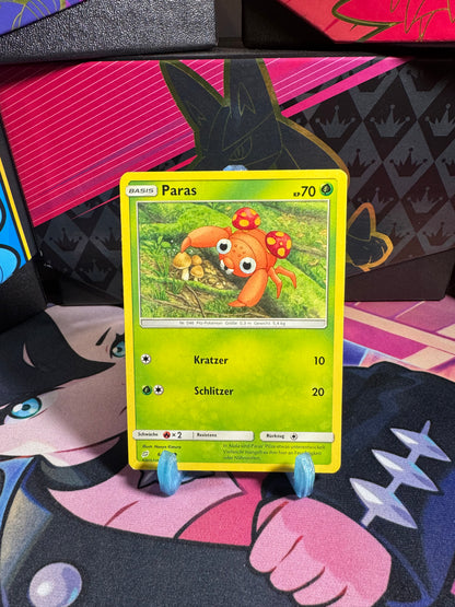 6/181 Paras