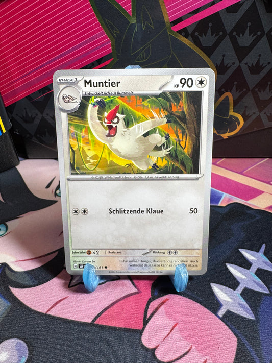 146/191 Muntier