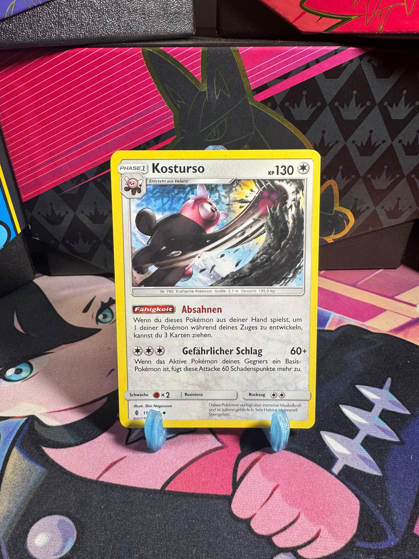 113/145 Kosturso