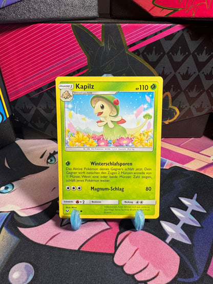 5/73 Kapilz