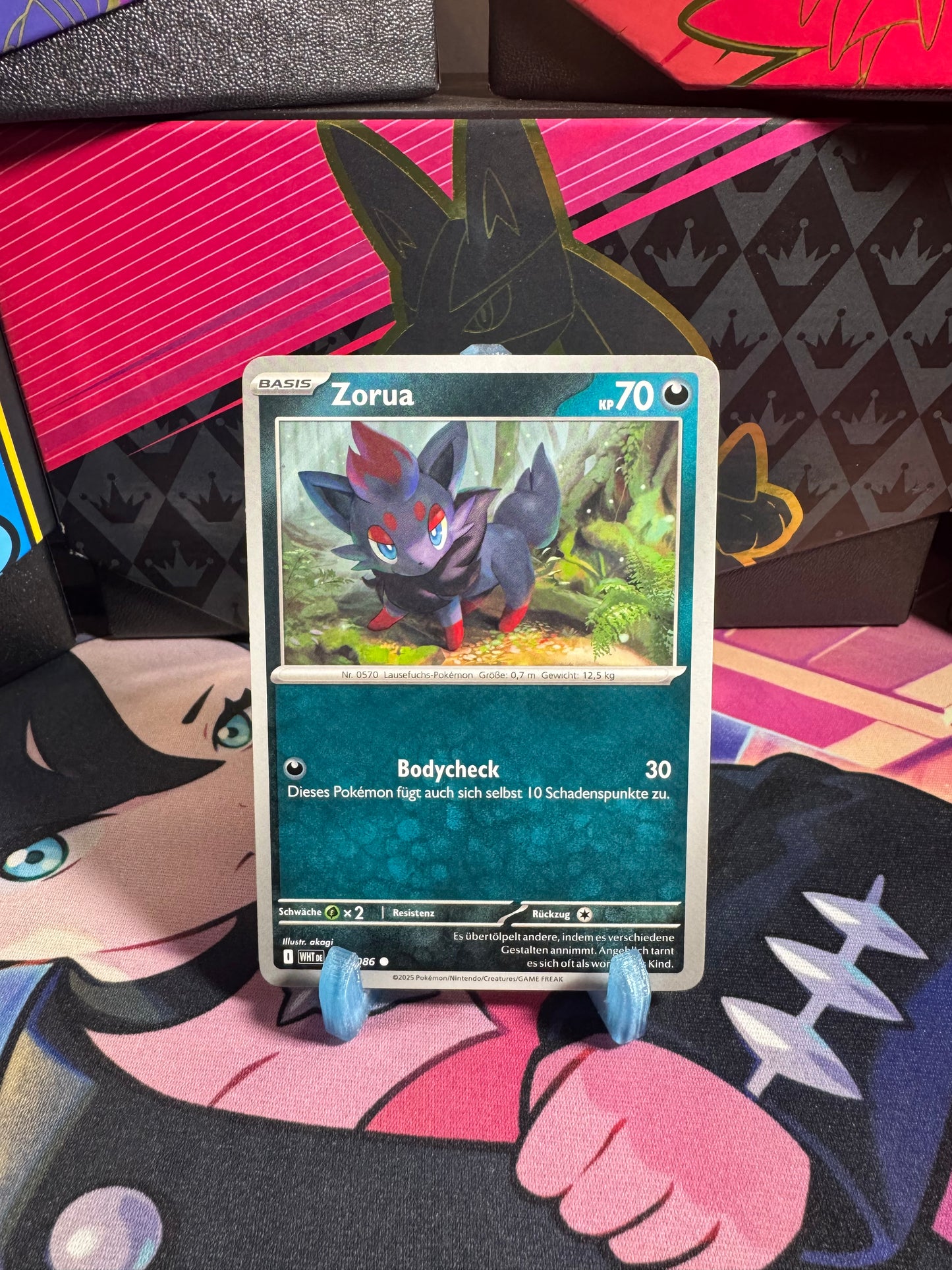 061/086 Zorua