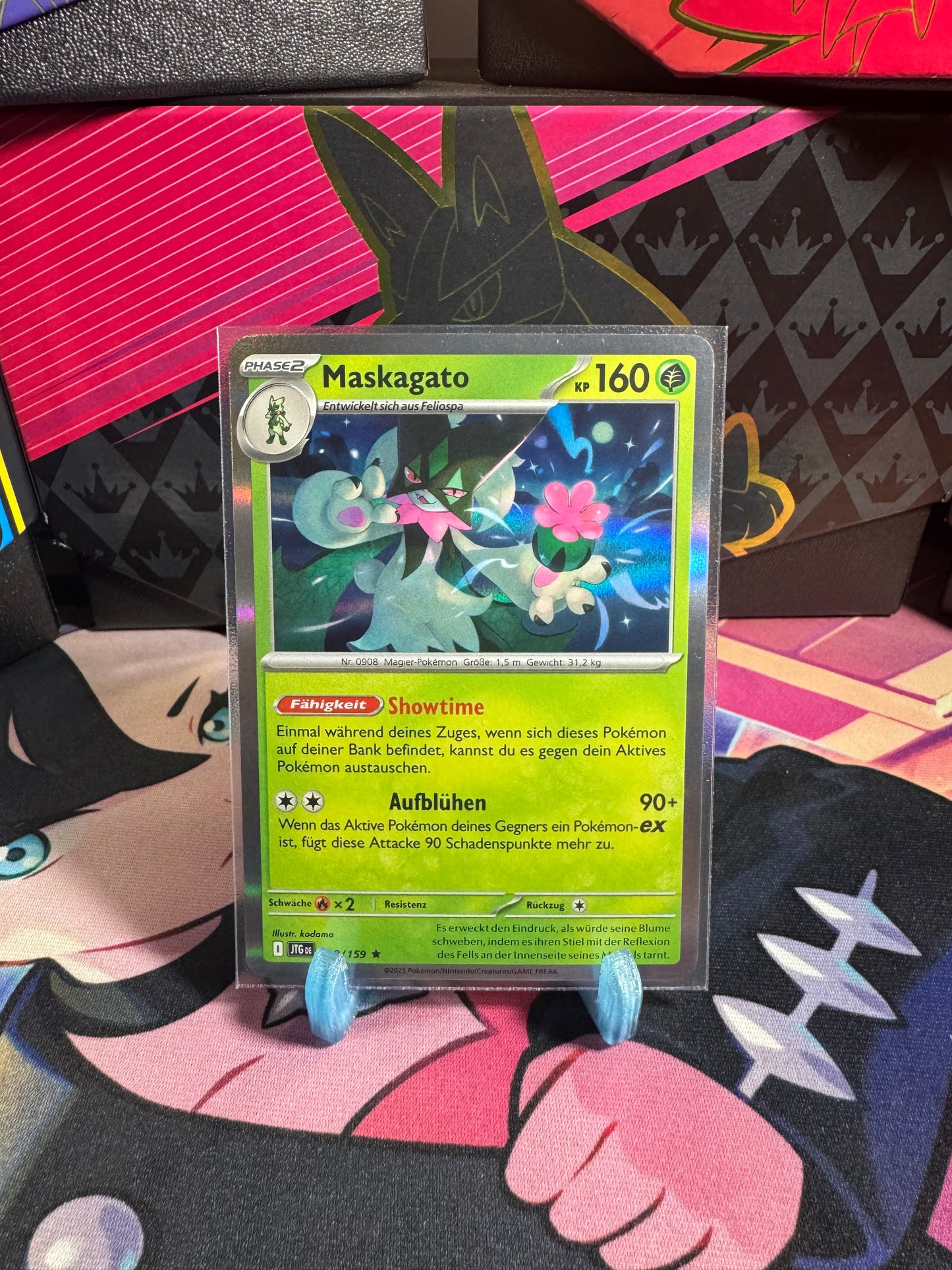 018/159 Maskagato Holo