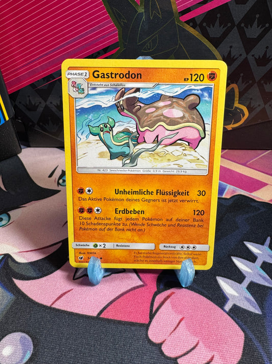54/111 Gastrodon