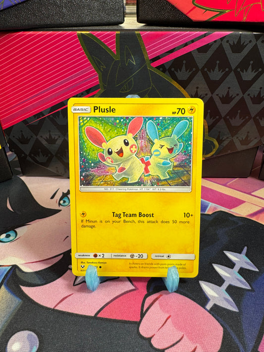 33/73 Plusle